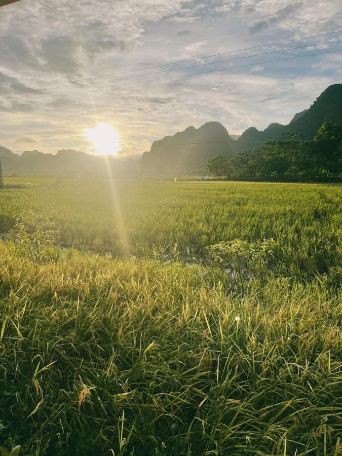 닌빈 Tam Coc Windy Fields 빌라 외부 사진