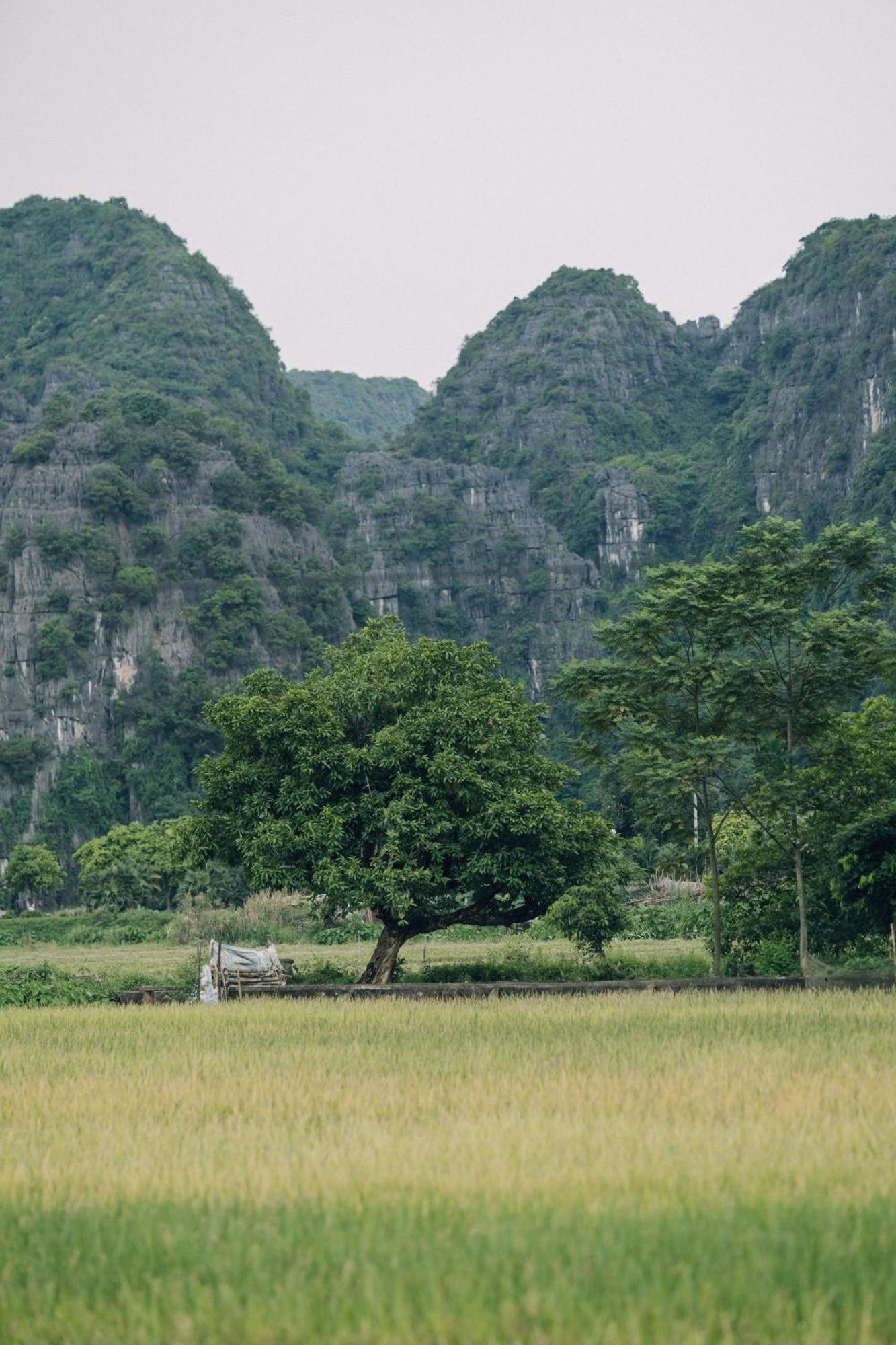 닌빈 Tam Coc Windy Fields 빌라 외부 사진